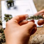 Legalizing pot didnt kill the black market, it created a marketing department for it