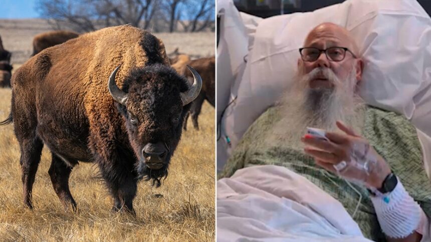 Bison victim speaks out after wild attack: They move faster than you could ever imagine