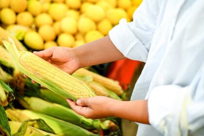 Controversial grocery store move evokes expert's blunt advice: 'If you shuck it, buy it'