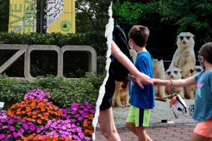 Gender equity, DEI, climate action: How the Smithsonians woke push infiltrated America's most beloved Zoo