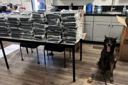 California K-9 Otis helps police seize 440 pounds of cocaine during Alhambra traffic stop