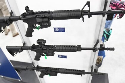Federal appeals court rules some nonviolent felons can legally own guns