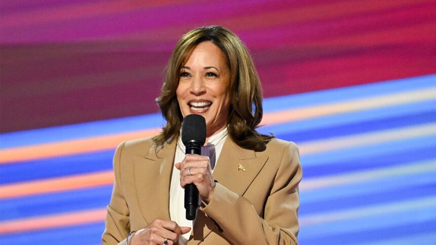 Kamala Harris faces Democratic doubts over 2028 as allies push back on claims shes squandered her chance