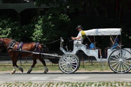 Mamdani, City Council move to end iconic NYC horse-drawn carriage industry as workers face uncertain future