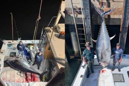 New Hampshire fishermen smash state record by snagging insane 1,116-pound bluefin tuna